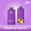 JNR Mega Box 25000 Puffs Disposable Vape (æske med 10 stk)
