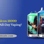 Er JNR Falcon 16000 egnet til al-dag dampning?