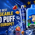 Quels sont les meilleurs vapes rechargeables de 12000 Puffs en Europe ?