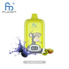RAndM Digital Box 12000 Puffs - Blueberry Kiwi